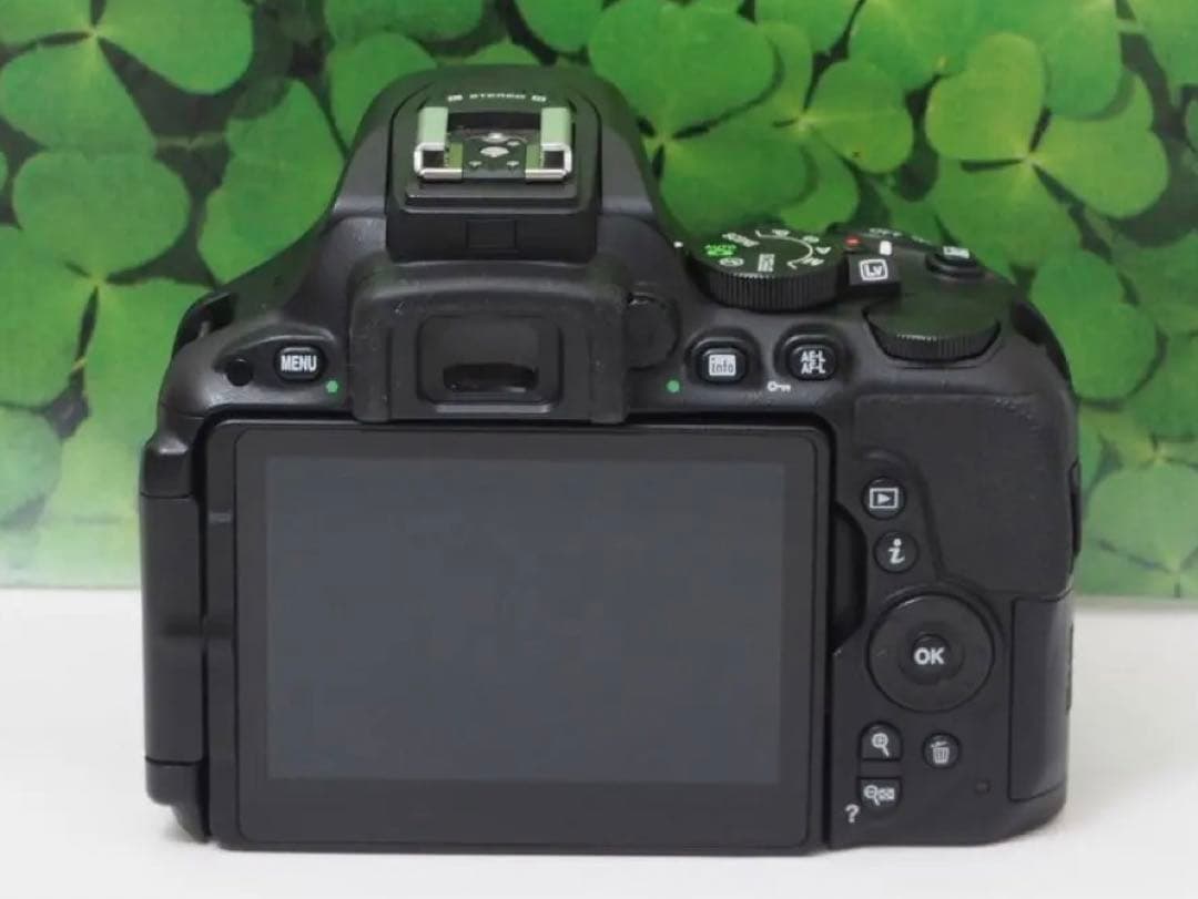 【美品】Wifi搭載❤️自撮りOK ニコンD5500 2416万画素 標準レンズ