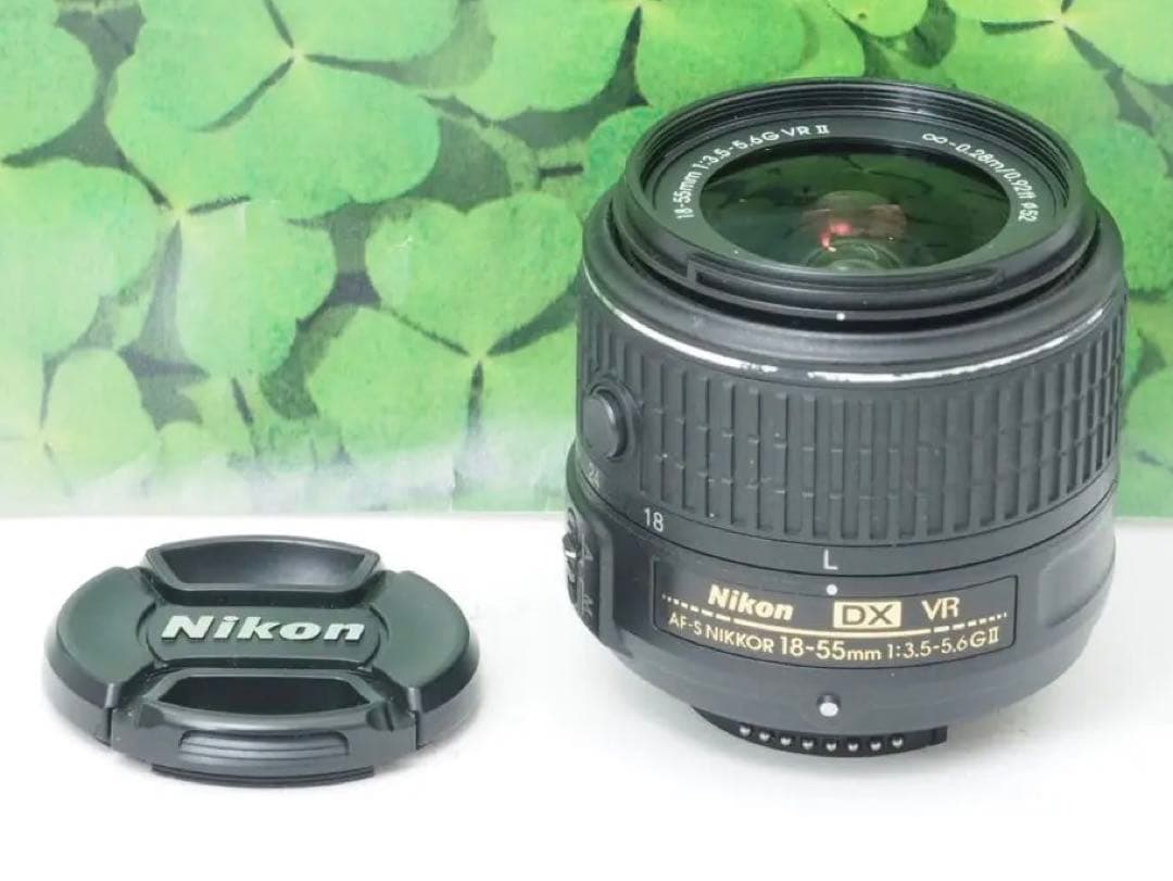 【美品】Wifi搭載❤️自撮りOK ニコンD5500 2416万画素 標準レンズ