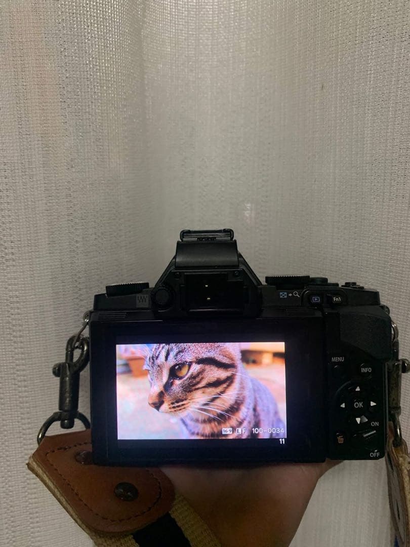 OLYMPUS OM-D E-M5 デジタル一眼レフ