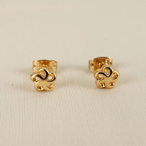 Aretes Flujo de Vida