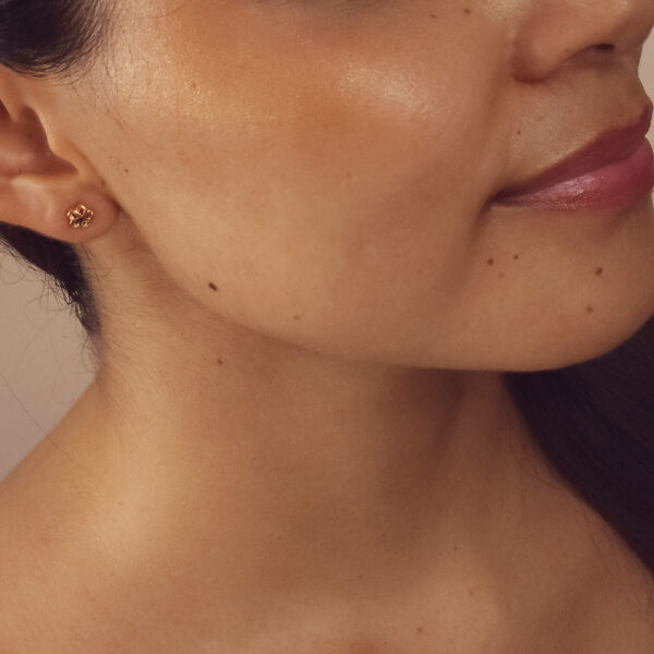 Aretes Flujo de Vida