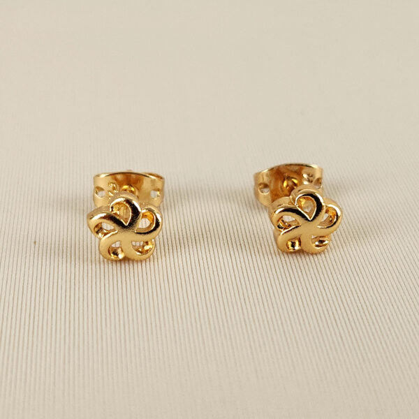 Aretes Flujo de Vida