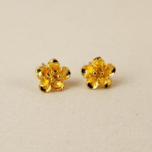 Aretes Brillo Silvestre