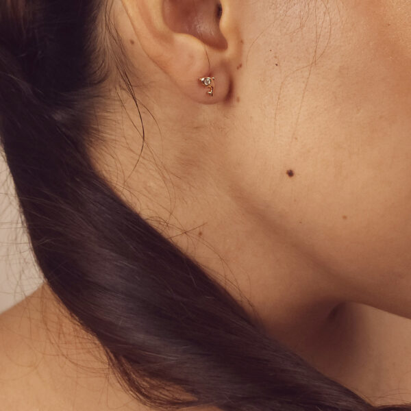 Aretes Delfín de Luz