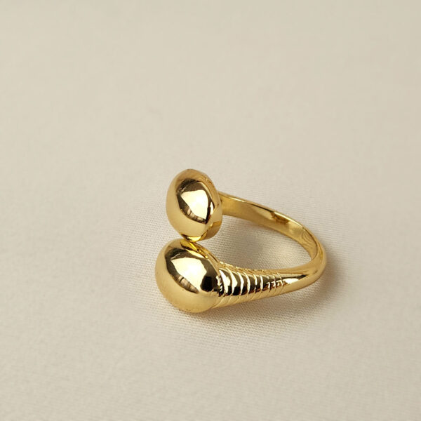 Anillo Graduable Eclipse Lunar