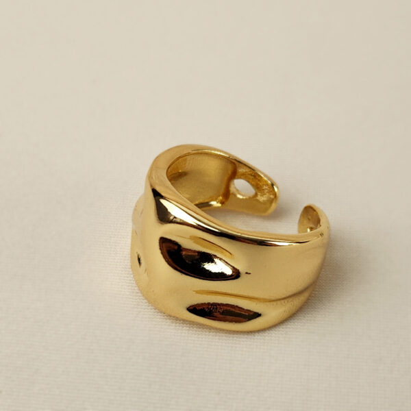 Anillo Graduable Ecos Vacios