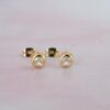 Aretes Brillo Central