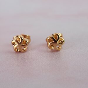 Aretes Flujo de Vida