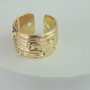 Anillo Graduable Resistencia